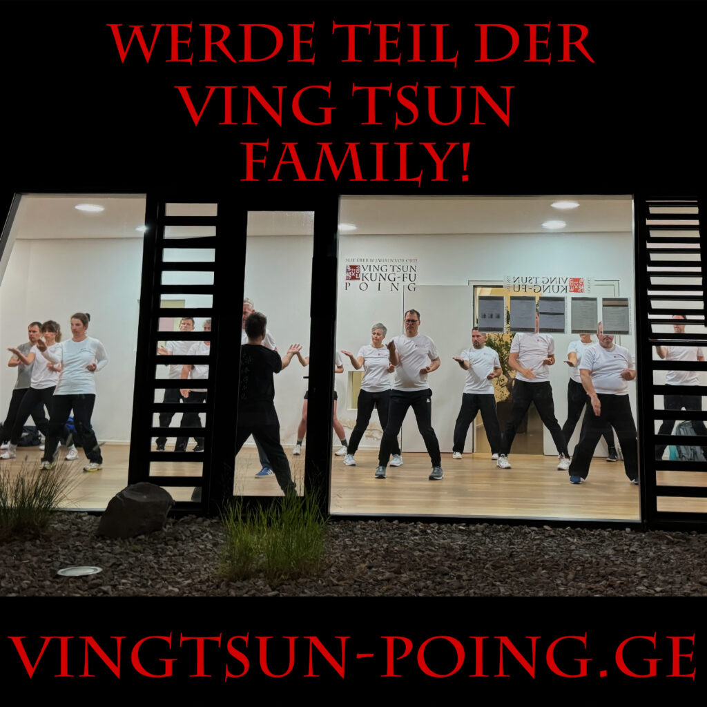 Ving Tsun Kung-Fu Poing Kampfkunst Kampfsport Probetraining