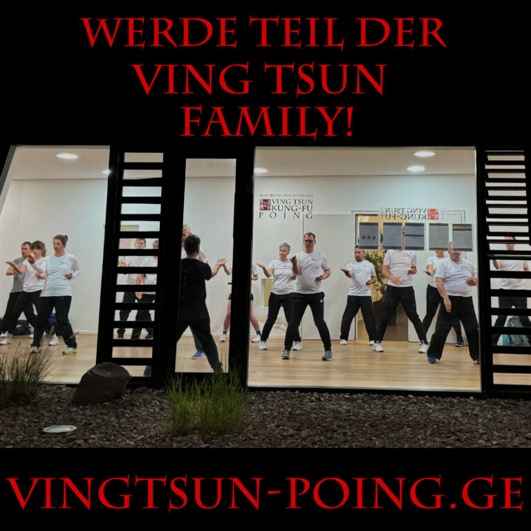 Ving Tsun Kung-Fu Poing Kampfkunst Kampfsport Probetraining