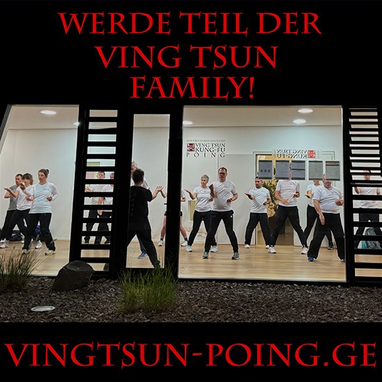 Ving Tsun Kung-Fu Poing Kampfkunst Kampfsport Probetraining