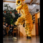 Lion Dance | Choy Li Fut Kung Fu München