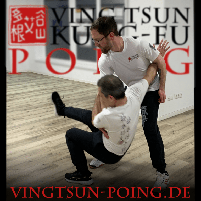 Ving Tsun Kung-Fu Poing Kampfkunst Kampfsport Probetraining